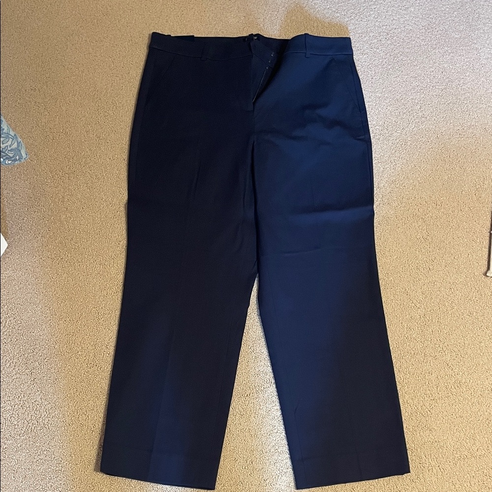 J. Crew Kallie Pants NWT